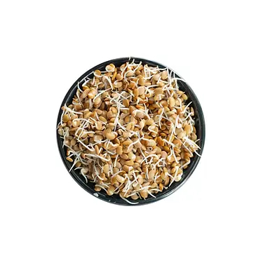 Sprouts - Horse Gram